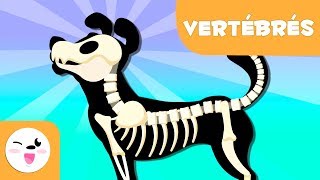 Les animaux vertébrés pour enfants - Introduction