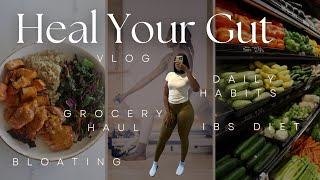 Heal Your Gut Again! IBS Symptoms, Grocery Haul, Personalized Diet Plan,  Meal Prep