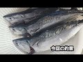 【大磯海岸】秋の青物釣り 2022年10月上旬 中潮 コマセ五目 ジギング