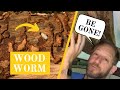 Worried about woodworm? Watch this before you reach for the chemicals