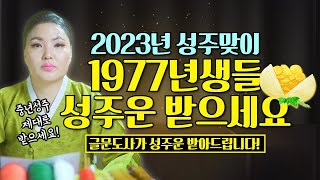 1977년생들 2023년에 성주운 왕창 받으세요! 글문도사가 2023년 식목일에 성주운 받아드립니다🎉🎊✨ / 시대의대만신들 신퇴마록