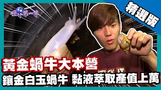 【韓國】直擊白玉蝸牛大本營 保養精力湯整隻蝸牛榨成汁!?｜《世界第一等》542集精華版