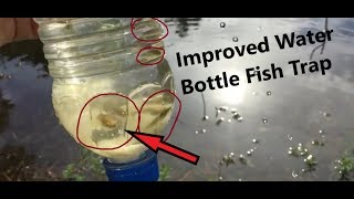 DIY Minnow/ Fish Trap- Fishing With a Water Bottle!