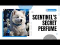 Learn English through story | Level 4 | Scentinel's Secret Perfume 🌟