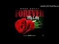 weezgotti forever my lady prodby. thefoolonthebeat