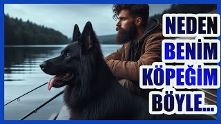 KÖPEK BAKARKEN YAPILAN KÜÇÜK HATALAR #almankurdu