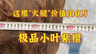 1根小叶紫檀价值100万，千年老料难得一见，罕见的收藏品