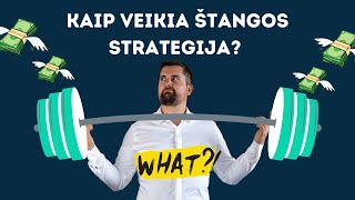 Balansuojam aukštą ir žemą riziką? Kaip veikia štangos investavimo strategija?