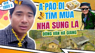 A Páo Đi Tìm Mua Nhà Sủng Là Đồng Văn Hà Giang | A PÁO VLOG