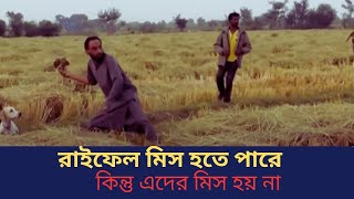 পাকিস্তানে বাজ পাখি দিয়ে  পাখি শিকারের কৌশল | Bird Hunting | ten24tvnews