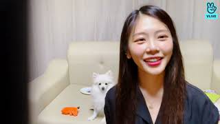 (ENG) 201003 🍒Choerry🍒 (Jiu Cherry Vlive)