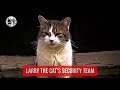 No.10's Downing Street Cat Larry - His security team