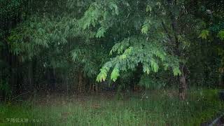 【雨聲助你睡得香甜——8小時連續下雨】🌨️ 寧靜夜晚的雨聲，沒有廣告，沒有雷聲，助你睡個好覺，冥想，集中註意力 💦 Rain ASMR no ads, no thunder