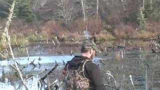 Hunting ducks and geese. Ragged Outdoors presents, \