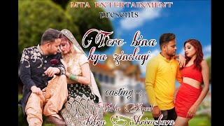 Tere bina kya zindagi | Official song | Taha Aqeel | Chitra Shrivastava | Romantic song