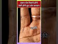 संतान योग कितनी होगी कैसी होगी बुध पर्वत बताएगा #hastrekha #palmistry #analysis #viral #shorts