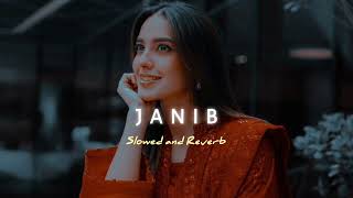 JANIB - Slowed And Reverb Song | Arijit Singh