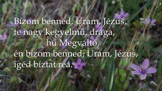 Bízom benned Uram Jézus (TD203)