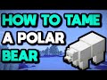 How to tame a polar bear in Minecraft||Learn how to do|| working 🔥😇 | Easy😎