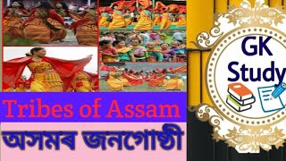 Tribes of Assam (অসমৰ জনগোষ্ঠী )