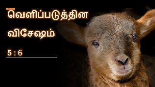 அடிக்கப்பட்டவண்ணமாயிருக்கிற ஒரு ஆட்டுக்குட்டி....