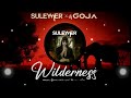 suleymer x dj goja wilderness extended version