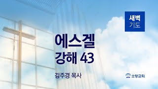 [소망교회] 에스겔 강해(43) / 겔 26:1~21 / 새벽기도회 / 김주경 목사 / 20221210