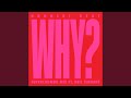 Why? (Superchumbo Mix Edit) (feat. Neil Tennant)