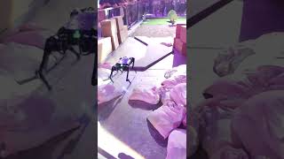 星洲故事：机器狗也有打滑的时候；Singapore Story: Robotic dog skidding