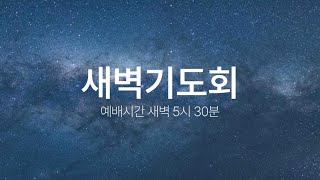 (25.2.15. 새벽기도회) 감추어졌던 하나님의 지혜