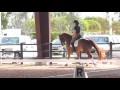 3 dressage exercises to get your horse moving off your leg