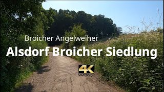 Broicher Angelweiher Broicher Siedlung ende Juni 2020 Hier lohnt es sich einen Spaziergang zu machen