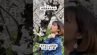 お花見あるある〜あやまんJAPANたまたまこ編〜