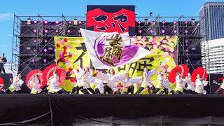 [4K] 佛教大学よさこいサークル紫踊屋　こいや祭り 2023 土曜日