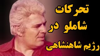 احمد شاملو :گذر از فراز ونشیب زندگی شاملو