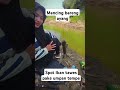 #mancing #spotmancing #ikantawesbabon