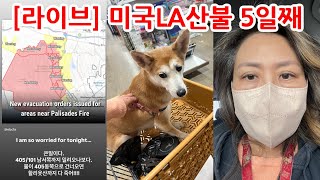 [라이브] 미국 LA산불 5일째 - 어제 비디오 댓글 답변