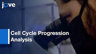 5-Ethynyl-2'-Deoxyuridine/Phospho-Histone H3 Dual-Labeling l Protocol Preview