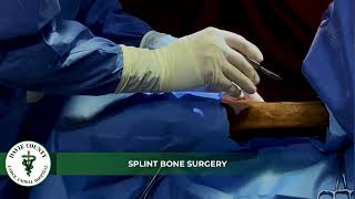 DCLAH Services - Splint Bone Surgery