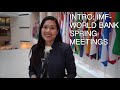 Intro: IMF-World Bank Spring Meetings