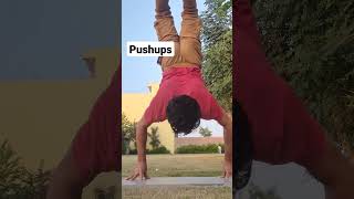 finger standing pushups | hspu | fspu | handstand | pushups | #shorts #trending #fitness #pushups