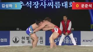 2016 추석장사 씨름대회 태백장사 씨름경기 하이라이트