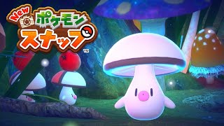 【Newポケモンスナップ】カクレ抜け道(夜) 新エリア【ポケスナ/Switch】