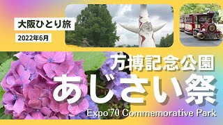 『大阪ひとり旅』万博記念公園あじさい祭〜2022年6月〜Expo'70 Commemorative Park #万博記念公園 #あじさい #パークタクシー #森のトレイン