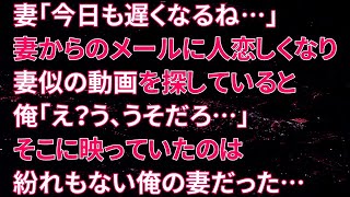 【修羅場】妻「今日も遅くなるね…」妻からのメールに人恋しくなり妻似の動画を探していると、俺「え？う、うそだろ…」そこに映っていたのは紛れもない俺の妻だった…【朗読】