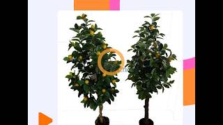 wholesale indoor decorative Artificial Lemon bonsai potted plant tree