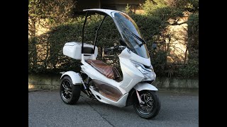 HONDA PCX125 TRIKE