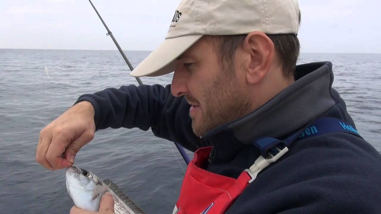 Pesca A Bolentino Al Dentice Youtube