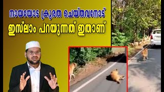 നായയോട് ക്രൂരത ചെയ്തവനോട് ഇസ്ലാം പറയുന്നത് ഇതാണ് ...