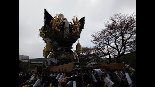 住吉神社北条節句祭本宮　横尾御旅所入り（平成３０年４月８日）